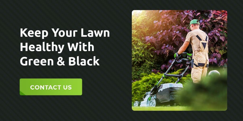Keep your lawn healthy with Green & Black