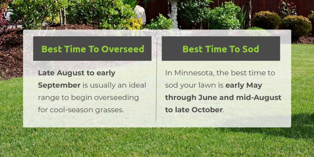 Best Time to Overseed vs. Best Time to Sod